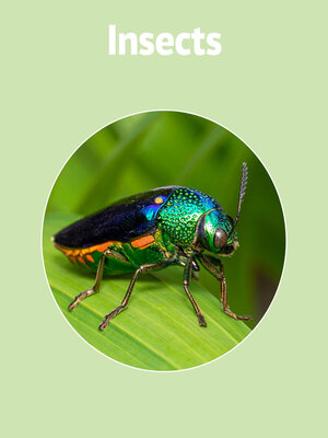 cover image of Insects